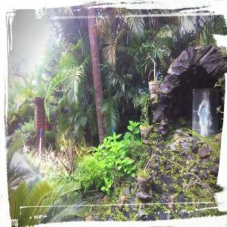 Cool @ Comfort Home Stay In North Goa, Goa 5